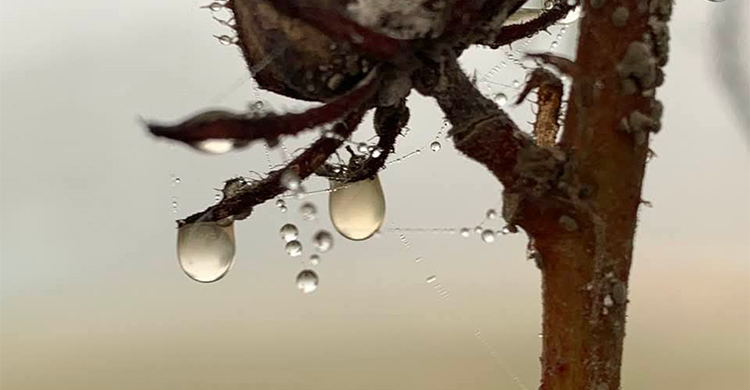 রাজশাহীতে মৌসুমের সর্বনিম্ন তাপমাত্রা ৭ ডিগ্রি