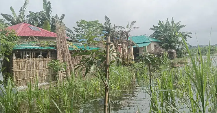 চর আষাড়িয়াদহের আশ্রয়ণ প্রকল্পে ঘরবন্দি ২০ পরিবার
