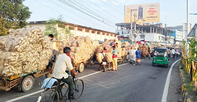রাজশাহীতে ৪৫০ কোটি টাকার পাট বাণিজ্যের সম্ভাবনা