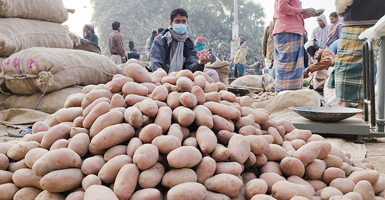 মৌসুমের শুরুতে আলুর দামে ধ্বস, লোকসানের আশঙ্কায় চাষিরা