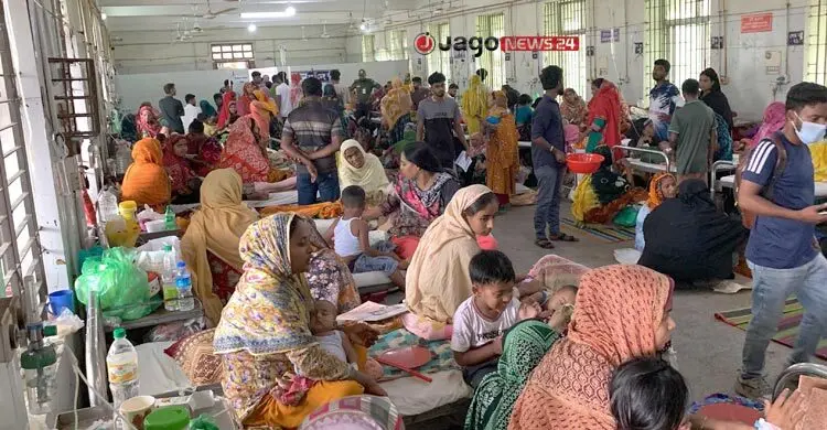 ডব্লিউএইচওর ঝুঁকিসীমা ছাড়িয়েছে রাজশাহীর এডিস সূচক, বাড়ছে ডেঙ্গু আতঙ্ক