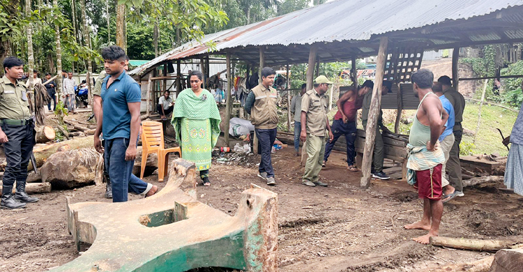 রামুতে অবৈধ করাত কল উচ্ছেদ, বিপুল পরিমাণ কাঠ জব্দ
