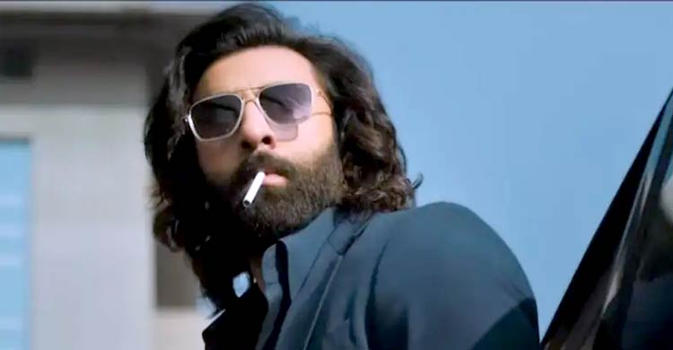বলিউডের আধুনিক প্রেমকাহিনির নায়ক তিনি, ভার্সেটাইল অভিনেতাও