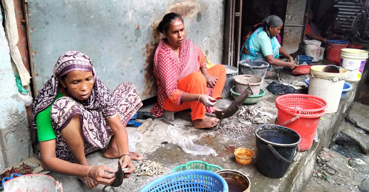 মাছ কেটে জীবন চলে তাদের