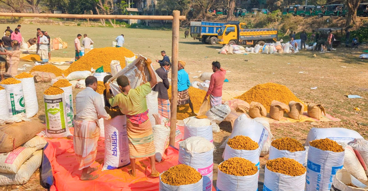 হলুদের দামে হতাশার ছাপ