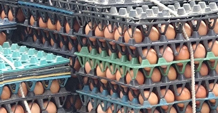 রংপুরে সবজির দাম কমলেও বেড়েছে শাকের