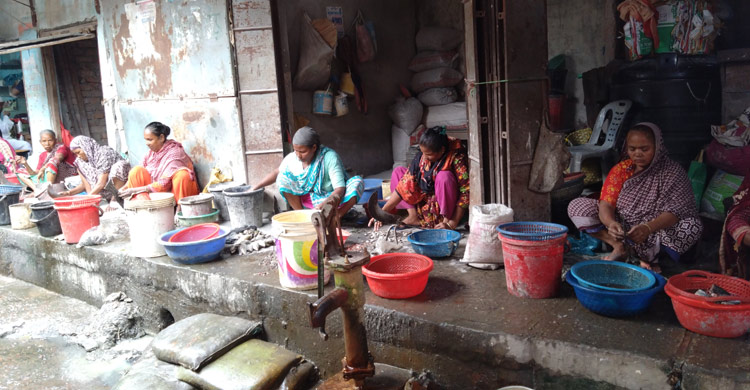 মাছ কেটে জীবন চলে তাদের