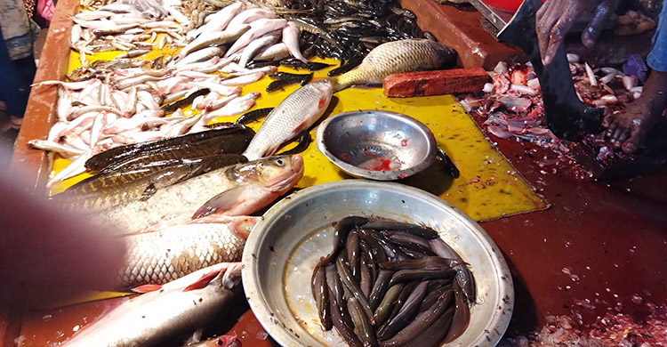 রংপুরে বেড়েছে সবজি-মুরগির দাম