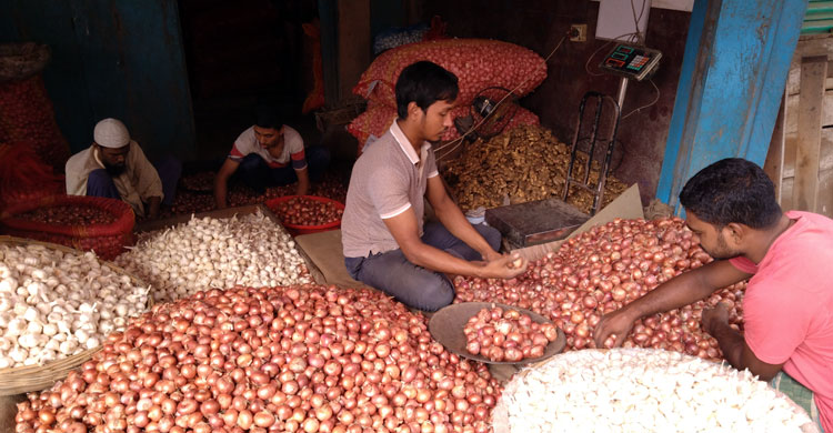 রংপুরে দুদিনে অর্ধেকে নেমেছে কাঁচামরিচের দাম