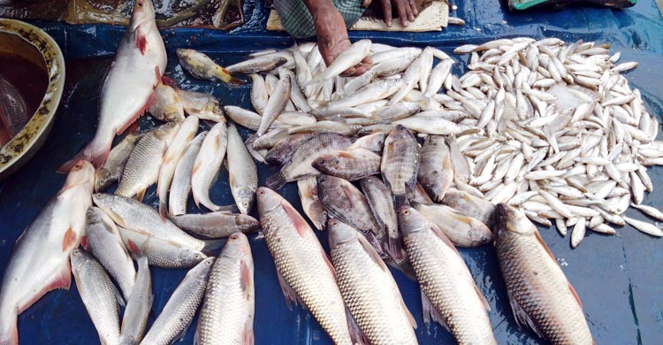 রংপুরে কমেছে লেবু-শসার দাম