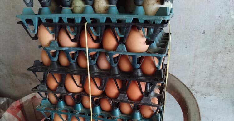 রংপুরে দাম বেড়েছে ডিম-সবজির