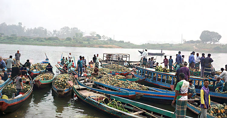 রাঙ্গামাটিতে পাইকারি হাটে অর্ধেকে নামলো আনারসের দাম