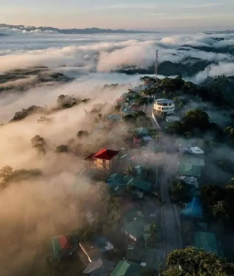 ৯ দিন পর খুলছে মেঘের রাজ্য সাজেক