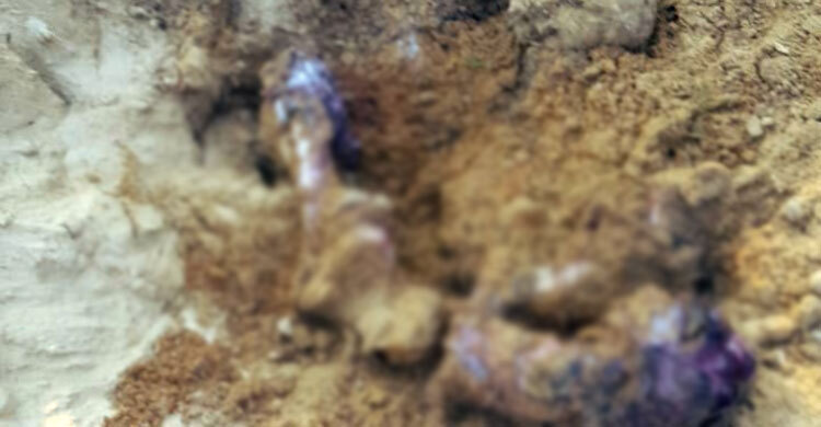 কাপ্তাইয়ে মাটিতে পুঁতে রাখা হাতির হাড়গোড় উদ্ধার