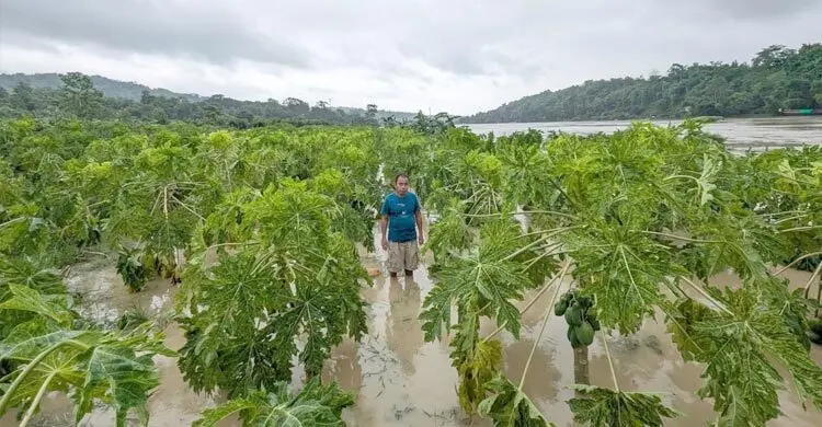 রাঙ্গামাটিতে বন্যায় সাড়ে ৩ হাজার হেক্টর কৃষিজমি ক্ষতিগ্রস্ত