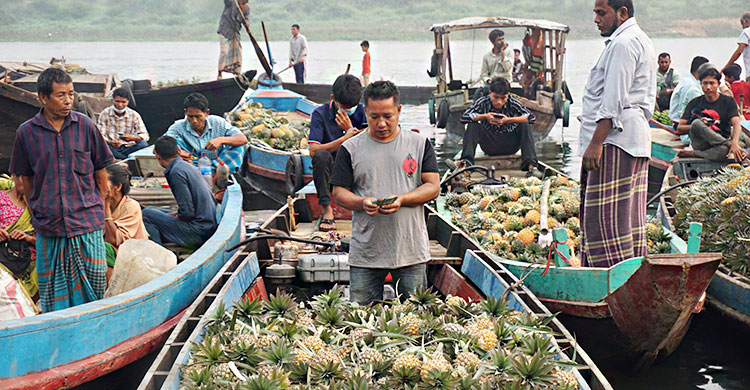 রাঙ্গামাটিতে পাইকারি হাটে অর্ধেকে নামলো আনারসের দাম