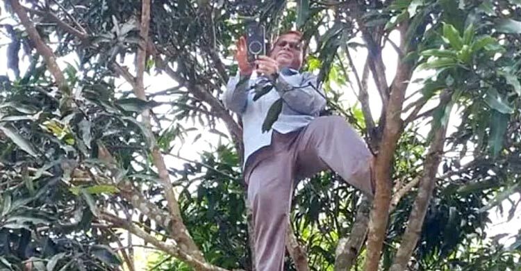 গাছে উঠে অনলাইন হাজিরা দিলেন প্রধান শিক্ষক, ছবি ভাইরাল