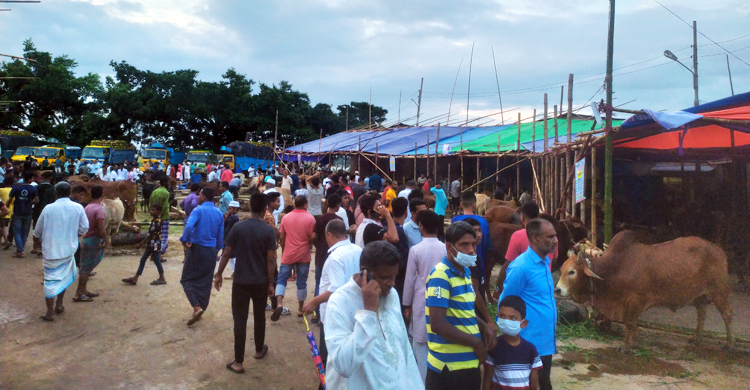 রাঙ্গামাটিতে জমে উঠেছে কোরবানির পশুর হাট
