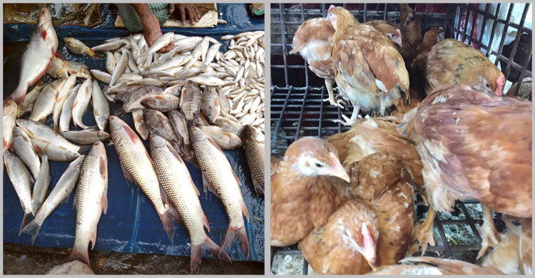 রংপুরে ঈদের আগে ঊর্ধ্বমুখী মাছ-মুরগির বাজার