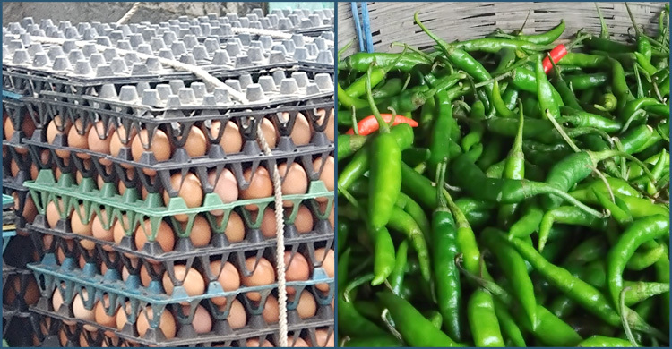 রংপুরে দাম কমেছে ডিম-কাঁচামরিচের