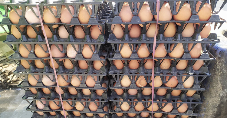 কমার সম্ভাবনা নেই মুরগির দাম, অপরিবর্তিত চাল-ডাল-পেঁয়াজ