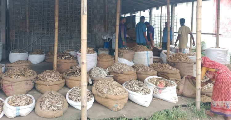বকেয়া-ঋণের চাপে ধুকছে শুঁটকি ব্যবসা