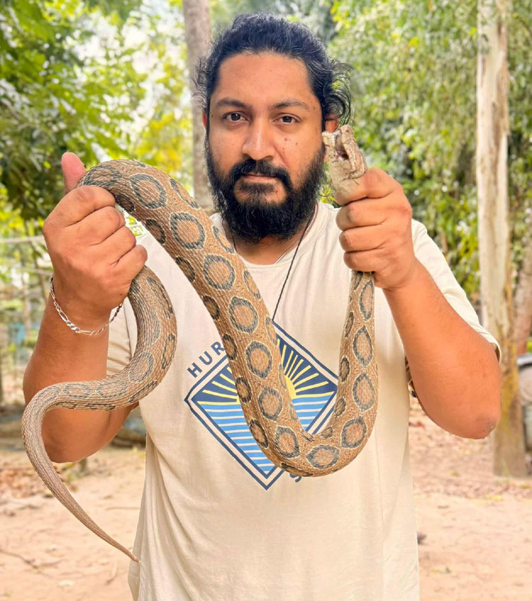 ঢাকার দোহার থেকে রাসেল ভাইপার উদ্ধার