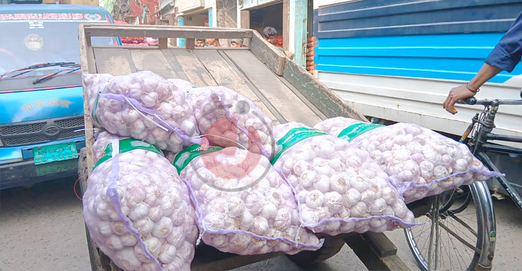 রসুন আমদানি