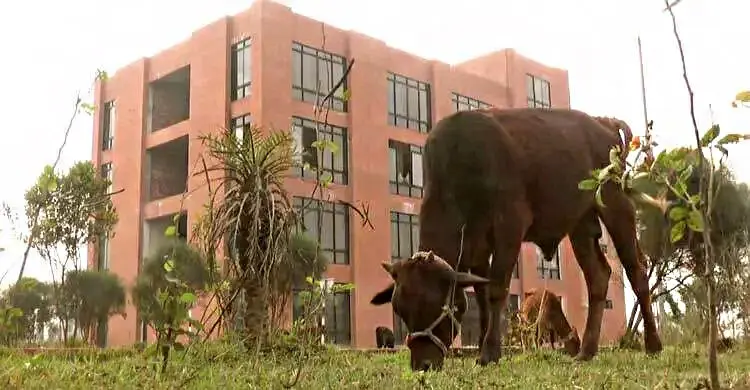 সিরাজগঞ্জে চালু হচ্ছে ট্রাক চালকদের সেই বিশ্রামাগার