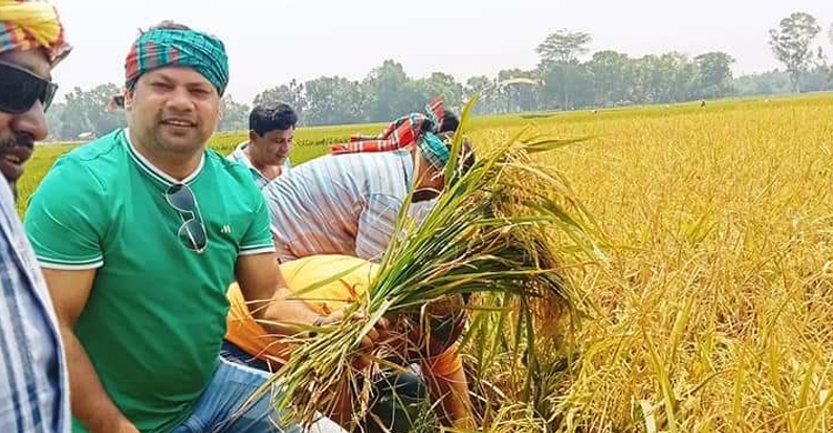 ধান কেটে কৃষককে দুশ্চিন্তামুক্ত করলেন যুবলীগ নেতাকর্মীরা