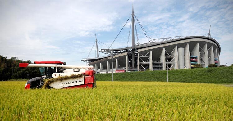 জাপানে রেকর্ড তাপমাত্রা, ধান চাষ নিয়ে বাড়ছে উদ্বেগ