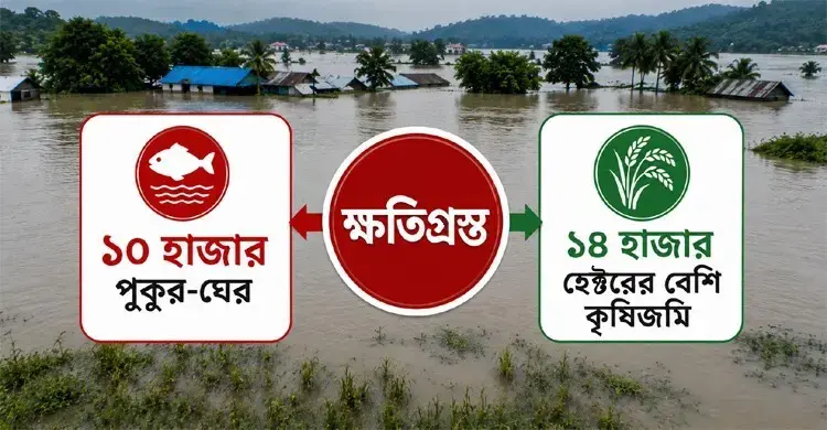 বন্যায় চট্টগ্রামের কৃষি-মৎস্যে বড় ধাক্কা, ক্ষতির মুখে হাজারো চাষি