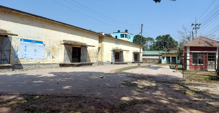 চালে লক্ষ্য অর্জন, তবে ৫ শতাংশ ধানও জমা পড়েনি সরকারি গুদামে