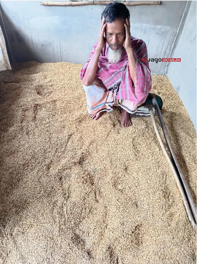 একদিকে জোঁক, অন্যদিকে বজ্রপাত&mdash;এ দুই ভয় জেঁকে বসেছে ধান কাটা শ্রমিকদের মনে। প্রাণভয়ে তারা জমিতে নামতে চাচ্ছেন না। এতে হবিগঞ্জে শ্রমিক সংকট প্রকট আকার ধারণ করেছে
