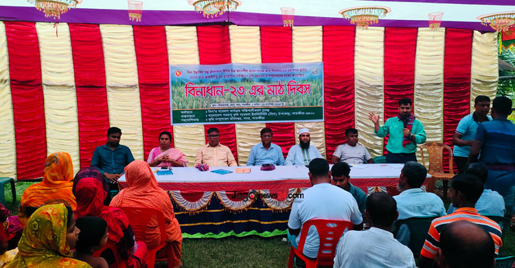 সাতক্ষীরায় চলতি আমন মৌসুমে ধান কাটা শুরু