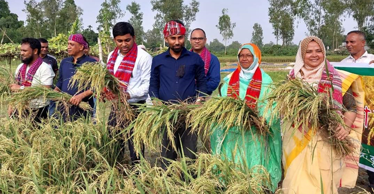 কৃষকের ধান কাটায় অংশ নিলেন ইউএনও-এসিল্যান্ড
