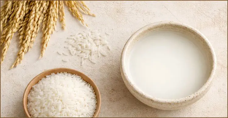 রূপচর্চায় ভাতের মাড় কেন ব্যবহার করবেন