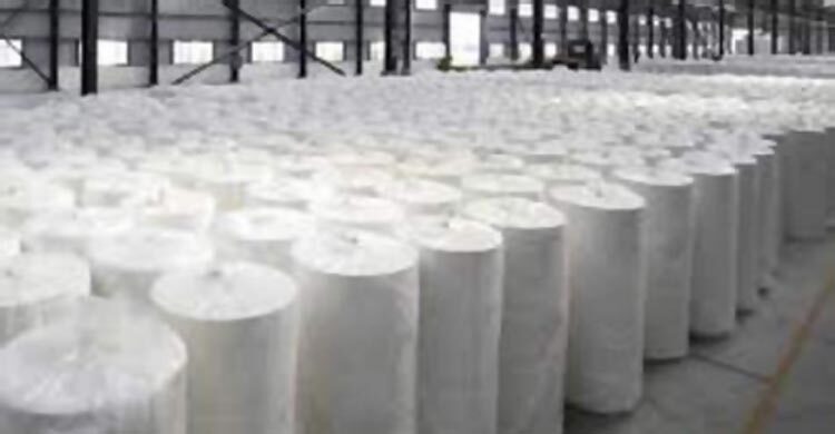 ব্যালটের জন্য লাগবে ২ লাখ ৩০ হাজার রিম কাগজ, ব্যয় ৩৫ কোটি