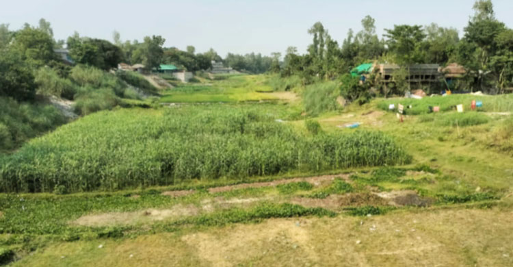 পানিশূন্য হুরাসাগর, বিপাকে চাষি