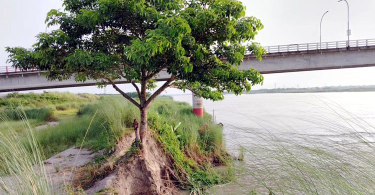 আড়িয়াল খাঁ নদের ওপর সেতুর কাছে ভাঙছে পাড়