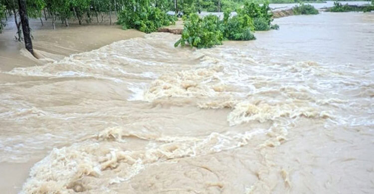 প্লাবিত হতে পারে ১২ জেলার নিম্নাঞ্চল
