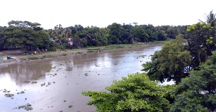 মৃতপ্রায় চিত্রায় প্রাণ ফিরেছে