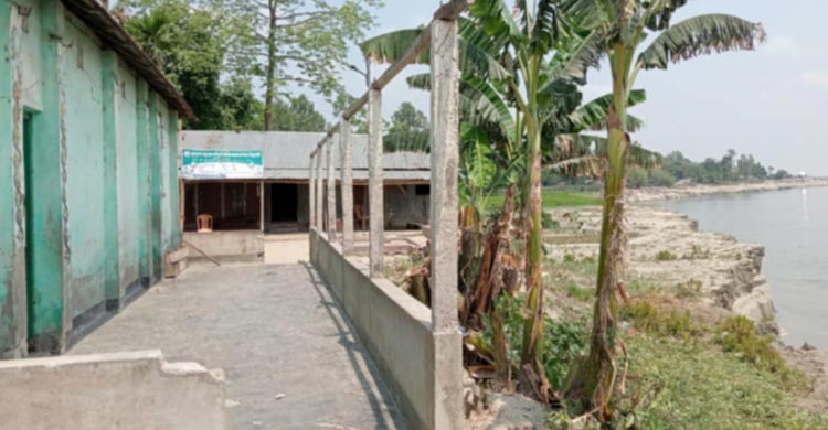 শুকনো মৌসুমেও ব্রহ্মপুত্রে ভাঙন, বিলীন হচ্ছে ফসলি জমি-বসতভিটা