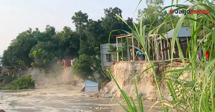 যমুনা গিলছে ঘরবাড়ি, ঝুঁকিতে হাজারও পরিবার