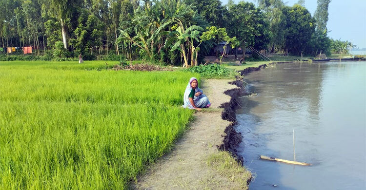 একমাসেই ব্রহ্মপুত্রে বিলীন বসতবাড়িসহ ৫০ বিঘা জমি