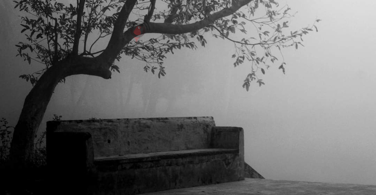 আবহাওয়ার খবর: ২৪ জানুয়ারি, ২০২৪