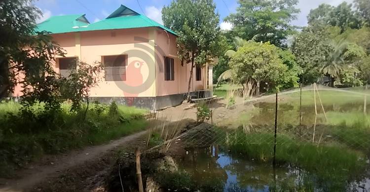 একটি রাস্তার অভাবে দুর্ভোগে ৪০ পরিবার