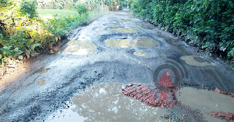 জোরারগঞ্জ-মুহুরীপ্রজেক্ট সড়কের দুঃখ ঘুচবে কবে