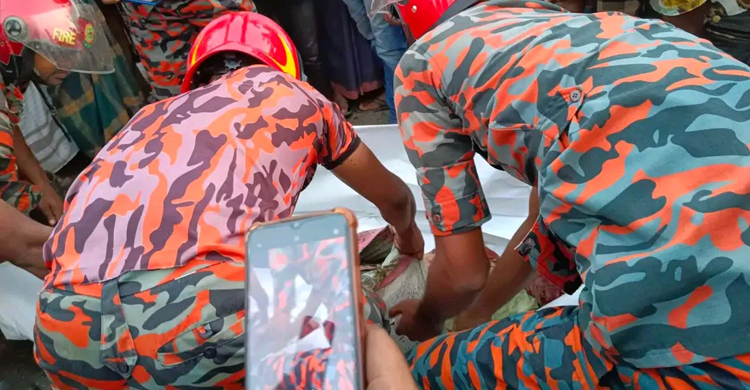 দাঁড়িয়ে থাকা অটোরিকশায় ট্রাকের ধাক্কা, যাত্রী নিহত