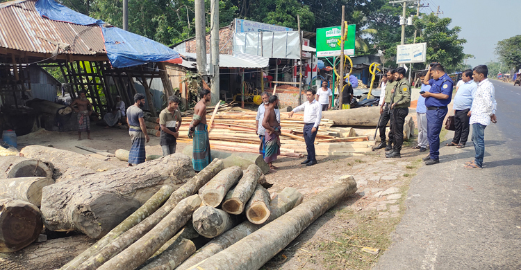 পটুয়াখালীতে মহাসড়কের পাশ থেকে সরানো হচ্ছে গাছের গুঁড়ি